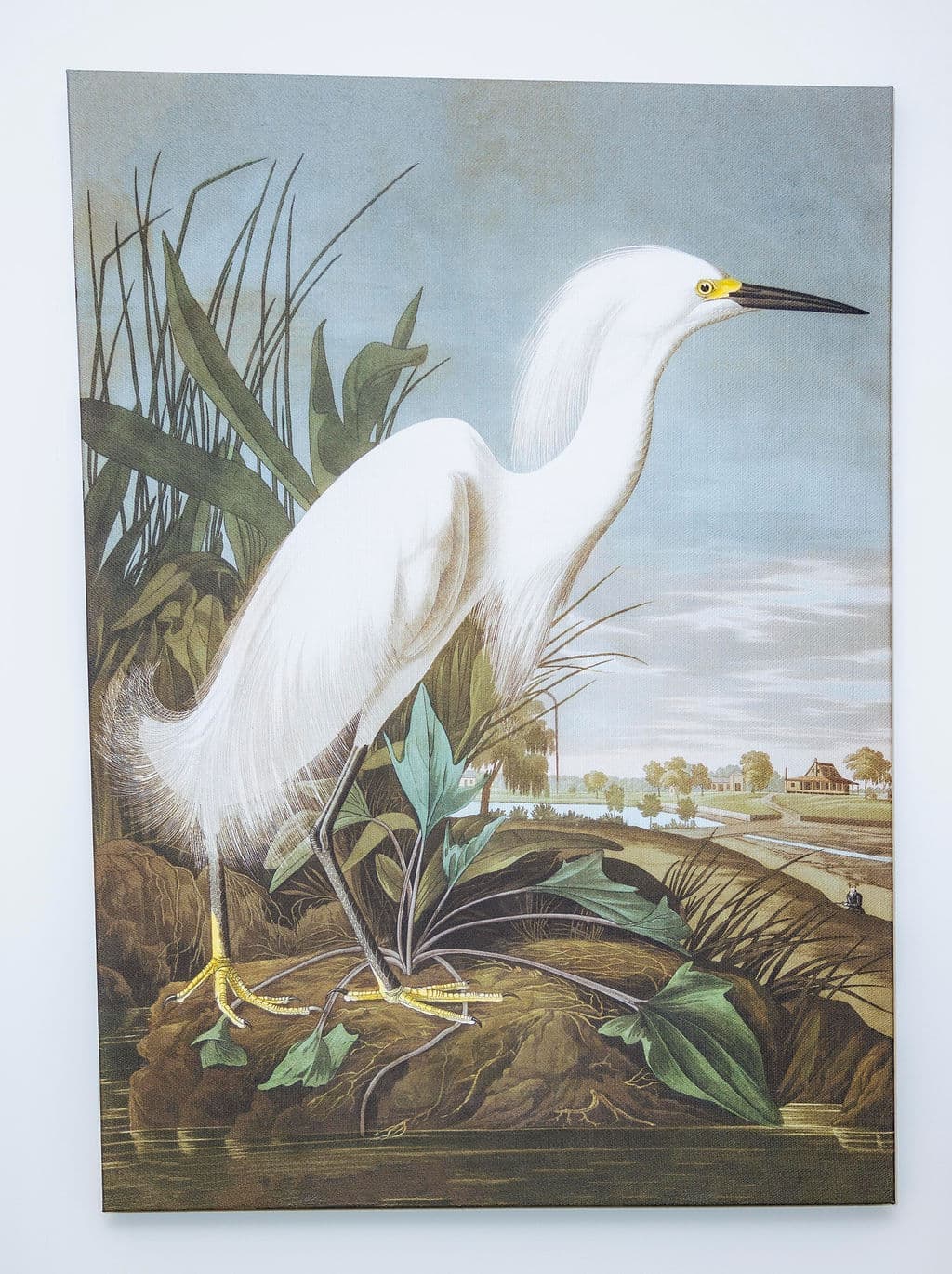 Action Global Consulting gallery photo 38